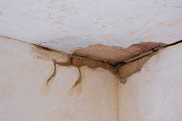 Best Ceiling water damage repair  in Cuero, TX
