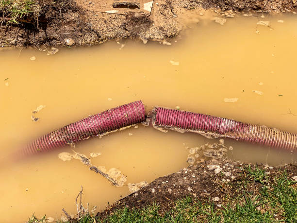  Cuero, TX Water damage restoration Pros