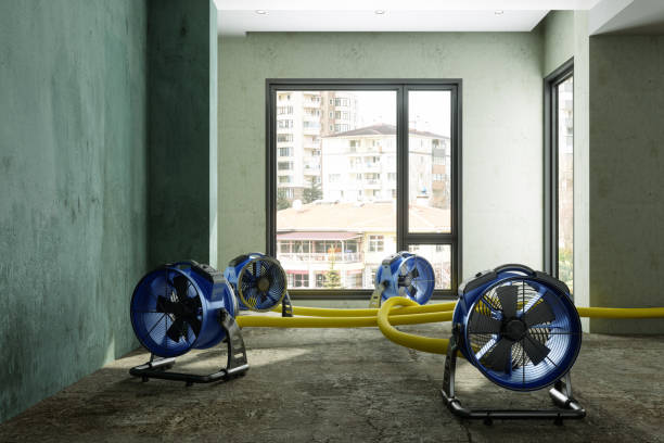 Best Mold removal after water damage  in Cuero, TX